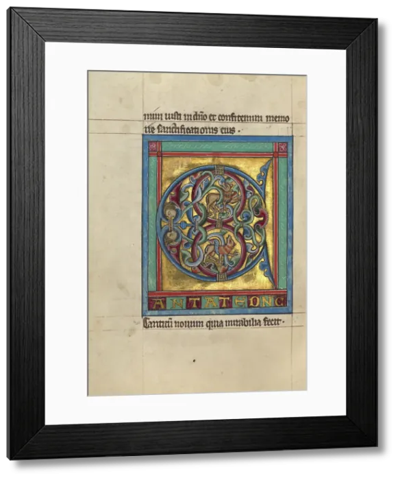 Framed Print : Initial C: Lions and Two Male Heads; Psalter, about 1240-1250. Creator: Unknown Framed Print : Initial C: Lions and Two Male Heads; Psalter, about 1240-1250. Creator: Unknown