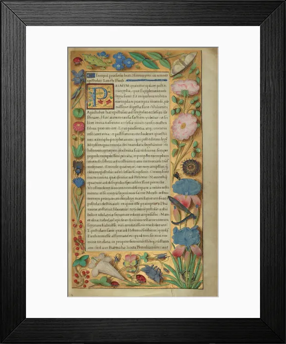 Framed Print : Decorated Text Page; Getty Epistles, about 1528-1530. Creator: Master of the Getty Epistles Framed Print : Decorated Text Page; Getty Epistles, about 1528-1530. Creator: Master of the Getty Epistles