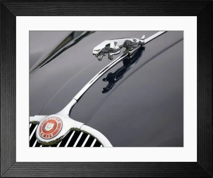 Framed Print : Leaping cat mascot on Jaguar XK150 Framed Print : Leaping cat mascot on Jaguar XK150