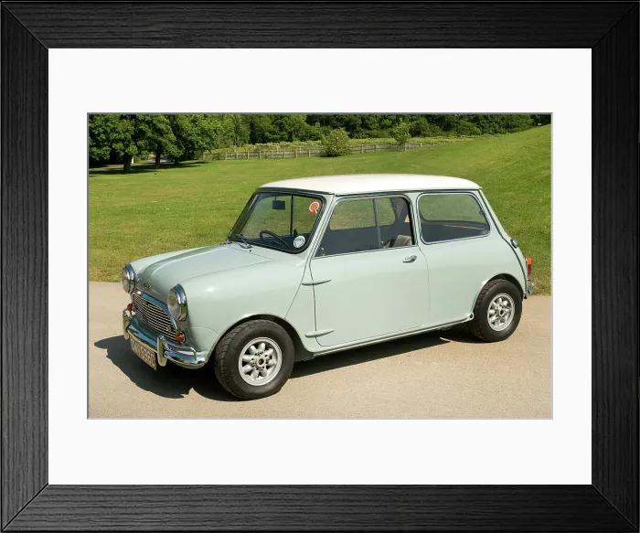 Framed Print : 1965 Austin Mini Coopers Framed Print : 1965 Austin Mini Coopers