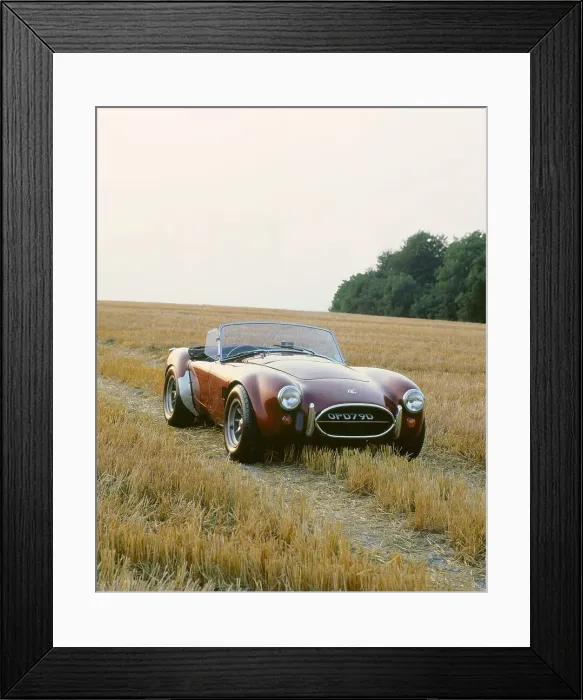 Framed Print : 1966 AC Cobra 289 Framed Print : 1966 AC Cobra 289