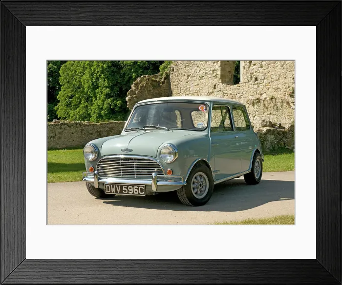 Framed Print : 1965 Austin Mini Coopers Framed Print : 1965 Austin Mini Coopers
