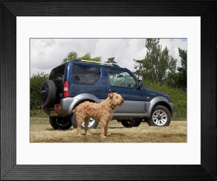 Framed Print : 2009 Suzuki Jimny SZ4 with pet dog Framed Print : 2009 Suzuki Jimny SZ4 with pet dog