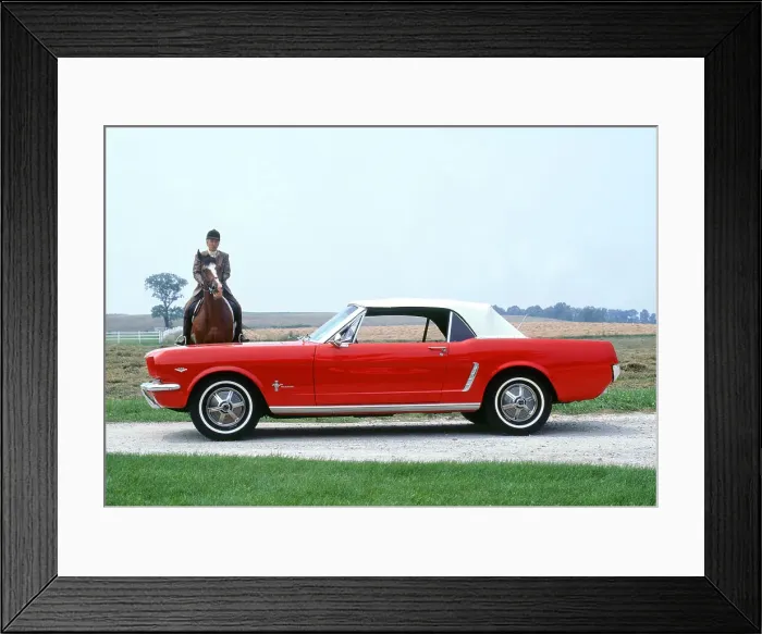 Framed Print : 1966 Ford Mustang 289 convertible Framed Print : 1966 Ford Mustang 289 convertible