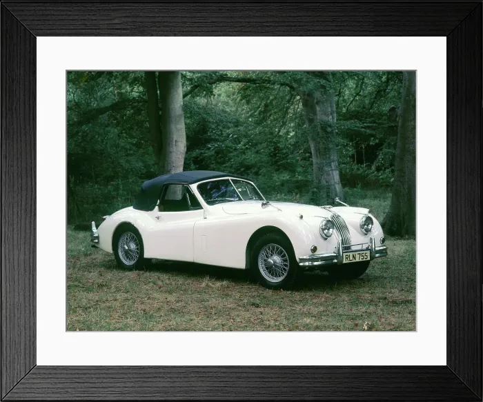 Framed Print : 1954 Jaguar XK140 DHC Framed Print : 1954 Jaguar XK140 DHC