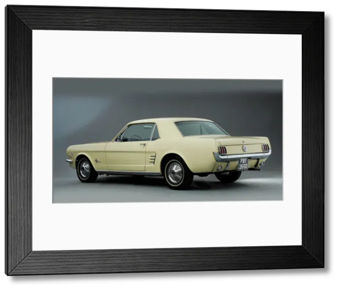 Framed Print : 1966 Ford Mustang 289 Framed Print : 1966 Ford Mustang 289