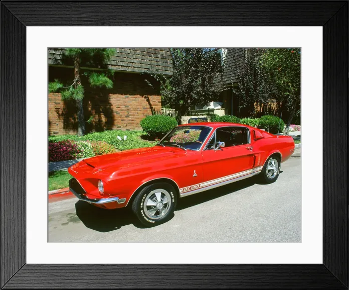 Framed Print : 1969 Ford Mustang Shelby GT 350 Framed Print : 1969 Ford Mustang Shelby GT 350