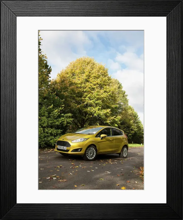 Framed Print : 2013 Ford Fiesta Econetic Framed Print : 2013 Ford Fiesta Econetic