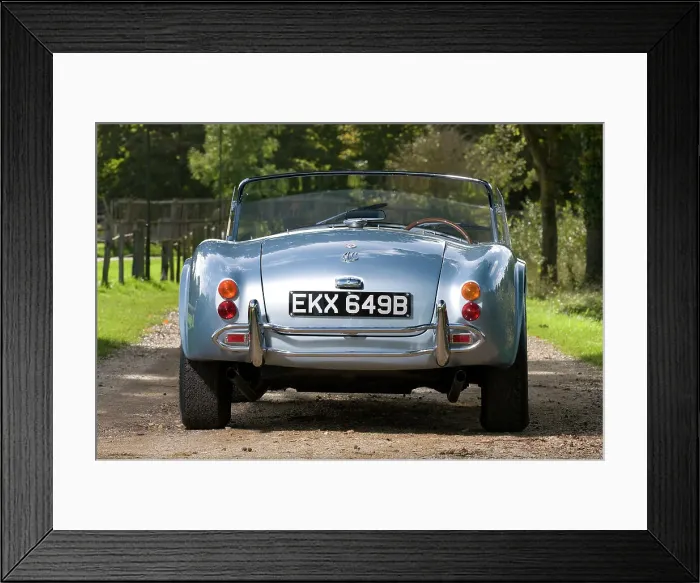 Framed Print : 1964 AC Cobra MKII 289 Framed Print : 1964 AC Cobra MKII 289