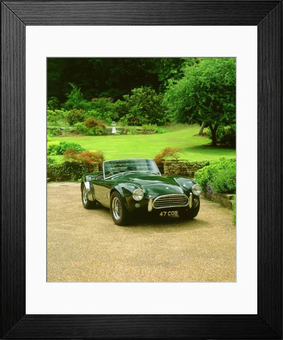 Framed Print : 1964 AC Cobra Framed Print : 1964 AC Cobra