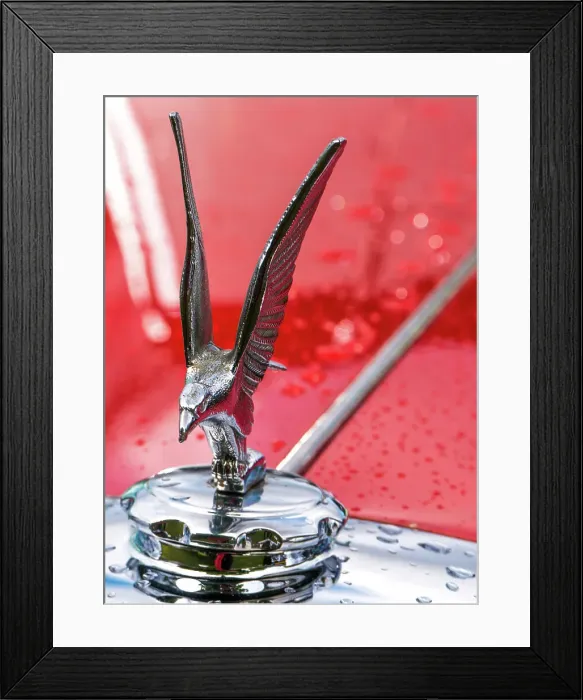 Framed Print : Alvis Mascot