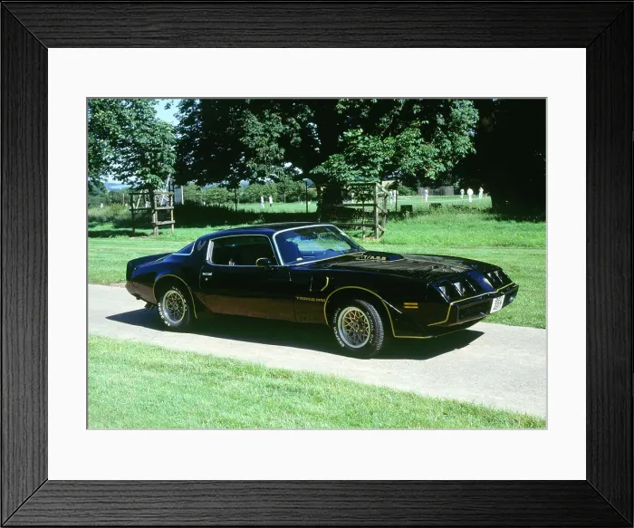 Framed Print : 1979 Pontiac Firebird Trans Am