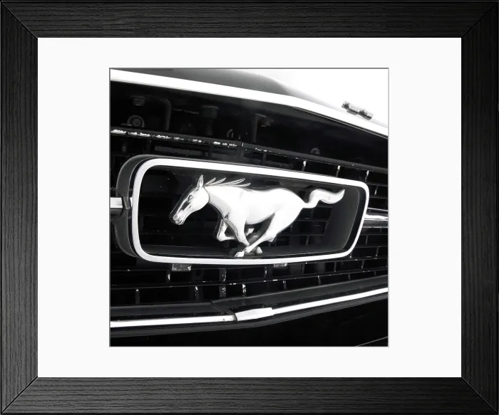 Framed Print : 1966 Ford Mustang 289 GT Framed Print : 1966 Ford Mustang 289 GT