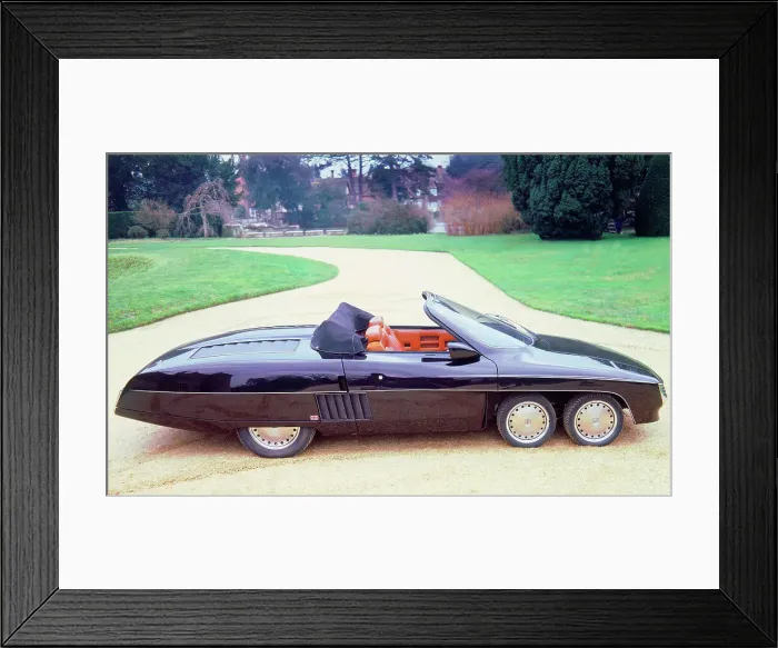 Framed Print : 1978 Panther 6 Framed Print : 1978 Panther 6