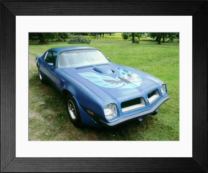 Framed Print : 1974 Pontiac Trans AM 455 Super Duty Framed Print : 1974 Pontiac Trans AM 455 Super Duty