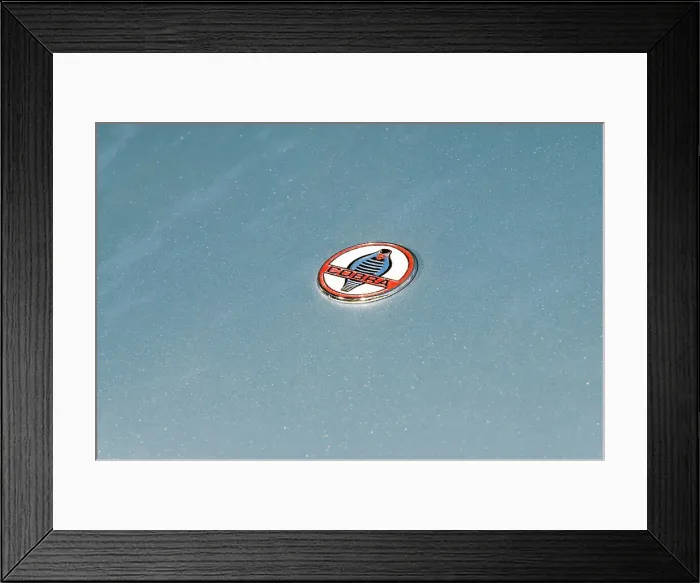 Framed Print : 1964 AC Cobra MKII 289 Framed Print : 1964 AC Cobra MKII 289