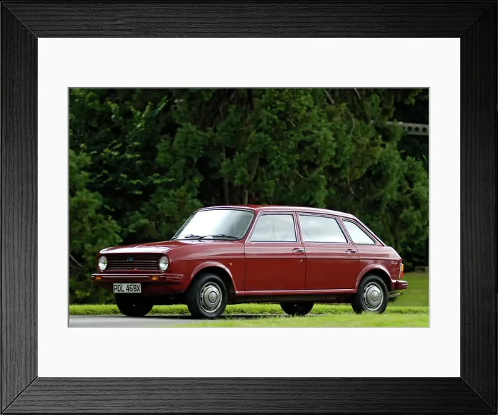 Framed Print : 1981 Austin Maxi Framed Print : 1981 Austin Maxi