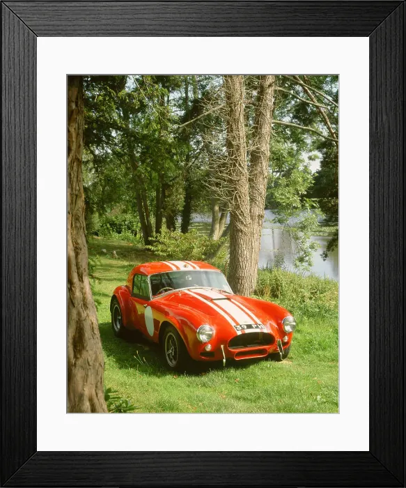 Framed Print : 1964 AC Cobra Le Mans Framed Print : 1964 AC Cobra Le Mans