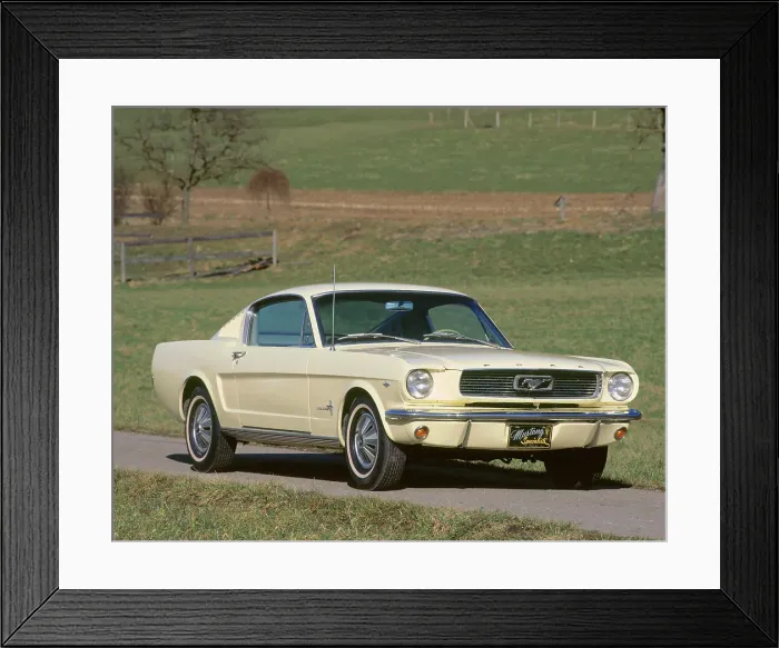 Framed Print : 1966 Ford Mustang Fastback Framed Print : 1966 Ford Mustang Fastback