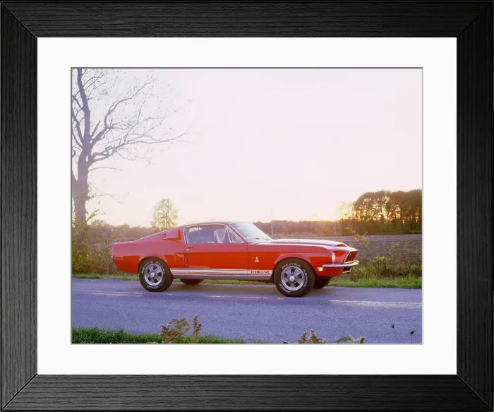 Framed Print : 1968 Ford mustang GT350 Shelby cobra Framed Print : 1968 Ford mustang GT350 Shelby cobra