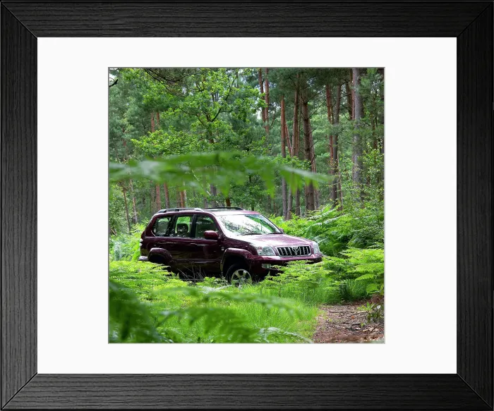 Framed Print : 2003 Toyota Landcruiser Framed Print : 2003 Toyota Landcruiser