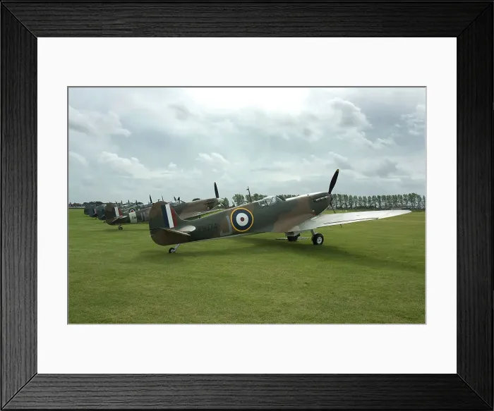 Framed Print : 2011 Goodwood Revival Meeting, row of Spitfire Aircraft Framed Print : 2011 Goodwood Revival Meeting, row of Spitfire Aircraft