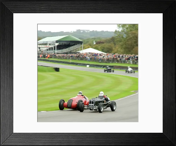 Framed Print : 2011 Goodwood Revival Meeting, Goodwood Trophy ERA D type and Alfa Romeo 308c Framed Print : 2011 Goodwood Revival Meeting, Goodwood Trophy ERA D type and Alfa Romeo 308c