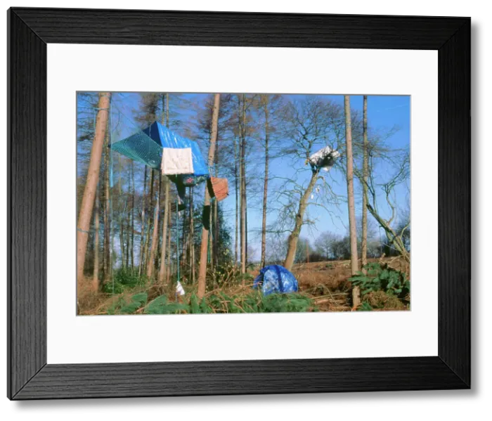Framed Print : Newbury ByPass constuction protestors Framed Print : Newbury ByPass constuction protestors