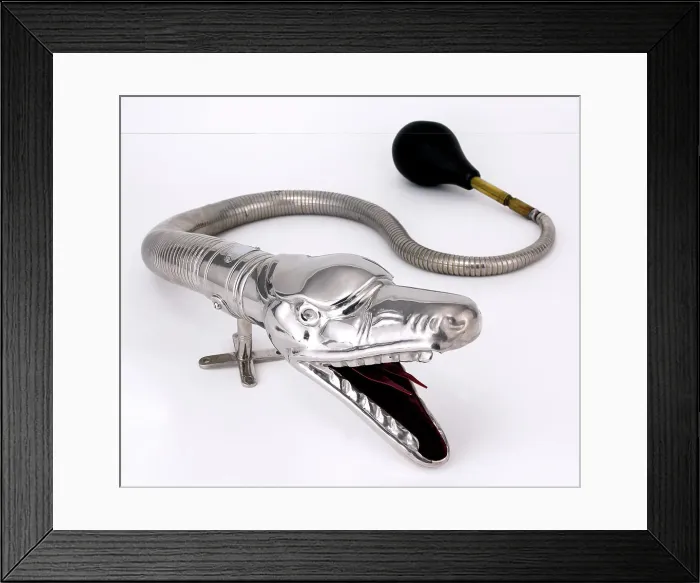 Framed Print : Boa Horn. Silver boa constictor car horn Framed Print : Boa Horn. Silver boa constictor car horn