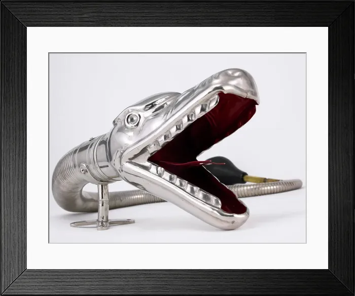 Framed Print : Boa Horn. Boa constrictor sil;ver horn