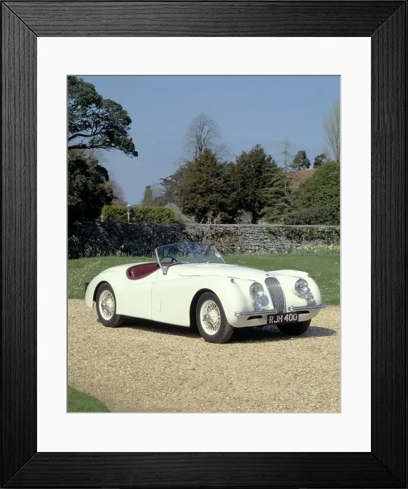 Framed Print : 1954 Jaguar Framed Print : 1954 Jaguar