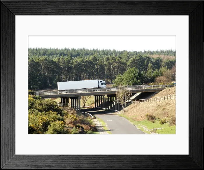 Framed Print : The A31 Dual Carriageway through New Forest Framed Print : The A31 Dual Carriageway through New Forest