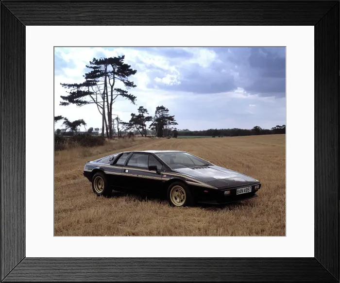 Framed Print : 1978 Lotus Esprit Celebratory Edition Framed Print : 1978 Lotus Esprit Celebratory Edition