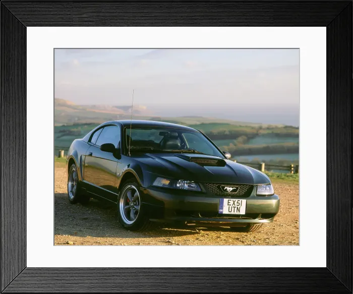 Framed Print : 2002 Ford Mustang Bullitt Framed Print : 2002 Ford Mustang Bullitt