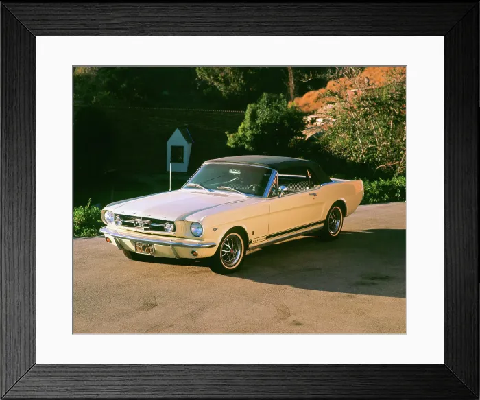 Framed Print : 1965 Ford Mustang Framed Print : 1965 Ford Mustang
