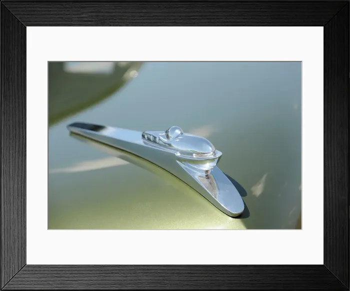 Framed Print : Tucker 1948. Artist: Simon Clay Framed Print : Tucker 1948. Artist: Simon Clay