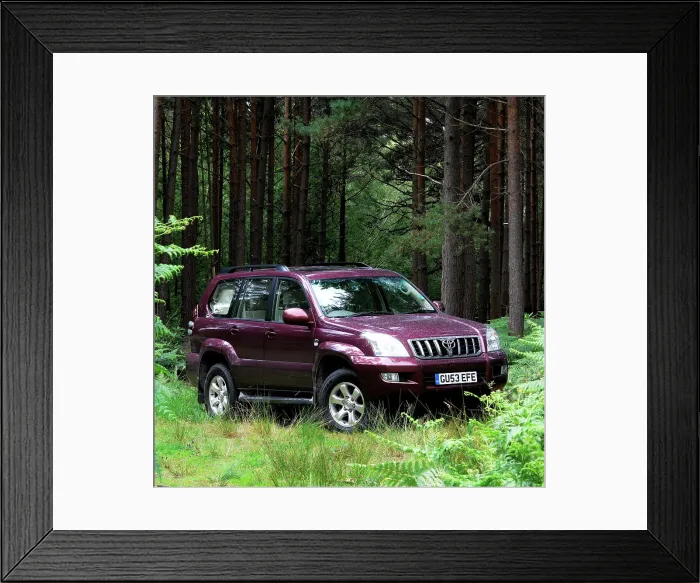 Framed Print : 2003 Toyota Landcruiser