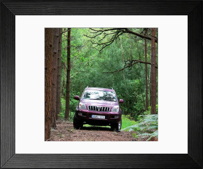 Framed Print : 2003 Toyota Landcruiser Framed Print : 2003 Toyota Landcruiser