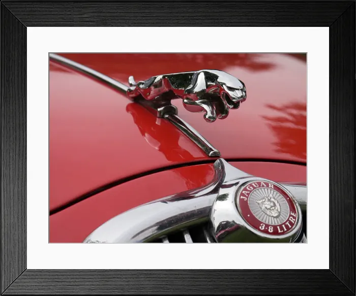 Framed Print : Leaping cat mascot on Jaguar 3.8 litre Framed Print : Leaping cat mascot on Jaguar 3.8 litre