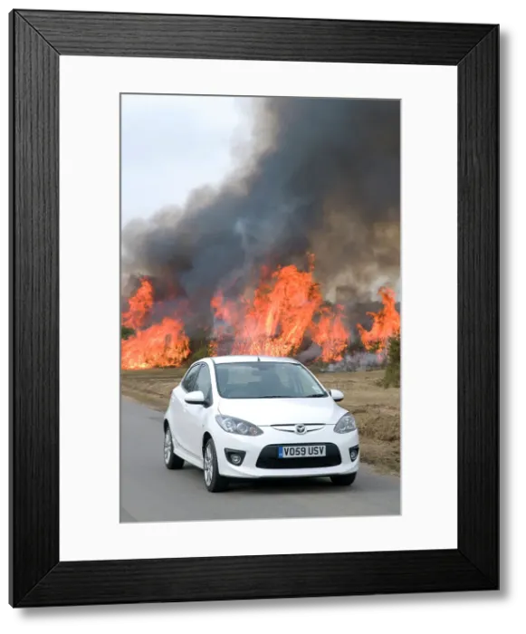 Framed Print : 2010 Mazda 2 Sport, controlled burning in New Forest Framed Print : 2010 Mazda 2 Sport, controlled burning in New Forest