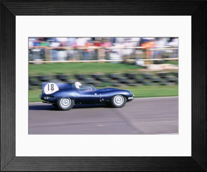 Framed Print : 1998 Goodwood Revival meeting.Jaguar D type Framed Print : 1998 Goodwood Revival meeting.Jaguar D type