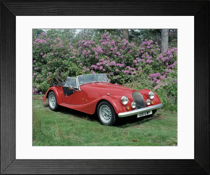 Framed Print : 1990 Morgan Plus 8