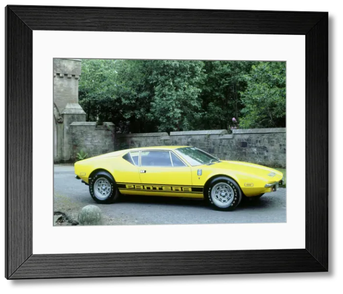 Framed Print : 1974 De Tomaso Pantera GP4 Framed Print : 1974 De Tomaso Pantera GP4