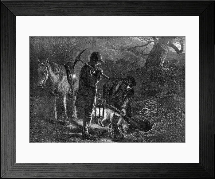 Framed Print : The hunting season: earth-stopping, 1872. Creator: Unknown Framed Print : The hunting season: earth-stopping, 1872. Creator: Unknown