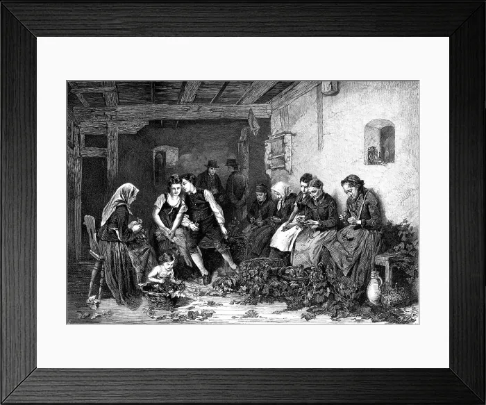 Framed Print : Hop-Picking in Germany, by Rudolph Hirth, 1872. Creator: Unknown Framed Print : Hop-Picking in Germany, by Rudolph Hirth, 1872. Creator: Unknown