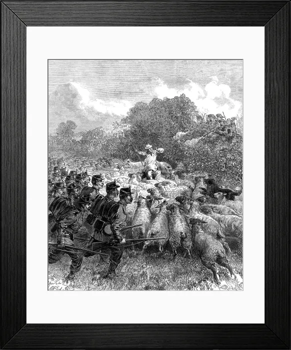 Framed Print : The Autumn Campaign: advance of the Connaught Rangers, 1872. Creator: Unknown Framed Print : The Autumn Campaign: advance of the Connaught Rangers, 1872. Creator: Unknown