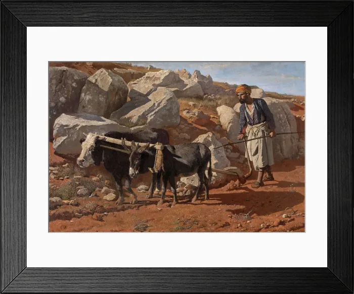 Framed Print : Plough Ox and Mule with Fellah, 1876. Creator: Charles Verlat Framed Print : Plough Ox and Mule with Fellah, 1876. Creator: Charles Verlat