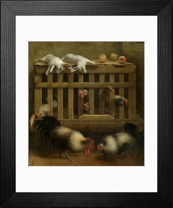 Framed Print : Fighting Cocks, 17th century. Creator: Anon Framed Print : Fighting Cocks, 17th century. Creator: Anon