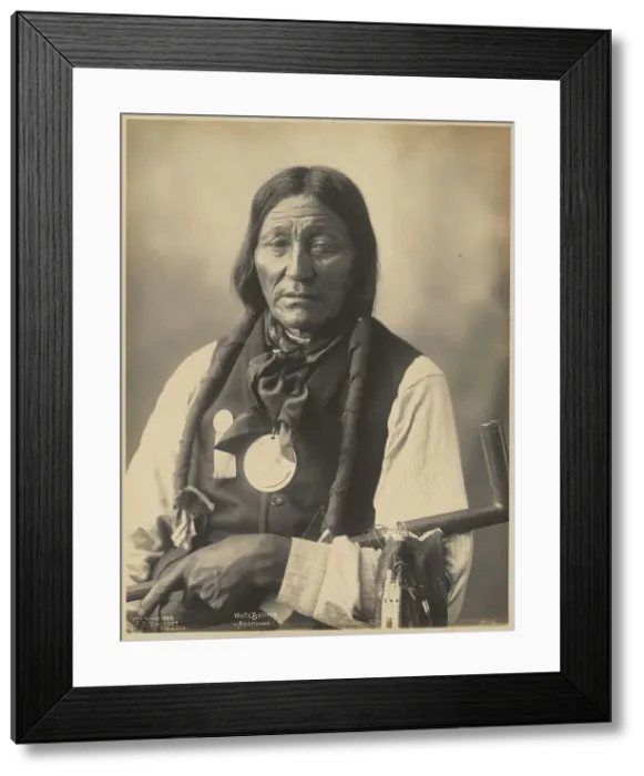 Framed Print : White Buffalo, of the Arapaho People, 1898. Creators: Adolph F. Muhr, Frank A. Rinehart Framed Print : White Buffalo, of the Arapaho People, 1898. Creators: Adolph F. Muhr, Frank A. Rinehart