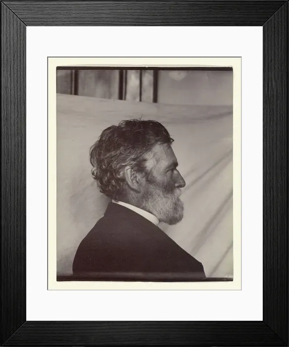 Framed Print : Portrait of George Davidson, about 1887. Creator: Carleton Emmons Watkins Framed Print : Portrait of George Davidson, about 1887. Creator: Carleton Emmons Watkins